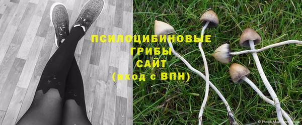 Альфа ПВП Абинск