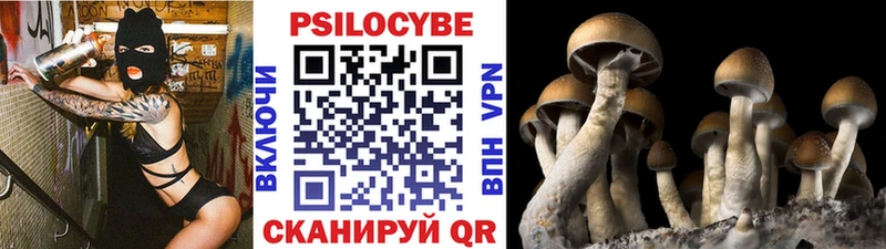наркотики  MEGA зеркало  Галлюциногенные грибы мицелий  shop состав  Серафимович 